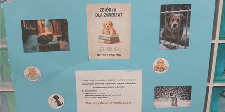 Powiększ grafikę: akcja-charytatywna-pomoc-dla-bezdomnych-i-dla-cierpiacych-z-zimna-zwierzat-669736.jpg