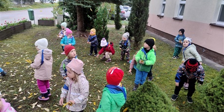 Domek dla jeża w ramach programu Zielonej Edukacji Gdańsk