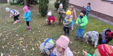 Powiększ grafikę: domek-dla-jeza-w-ramach-programu-zielonej-edukacji-gdansk-647360.jpg