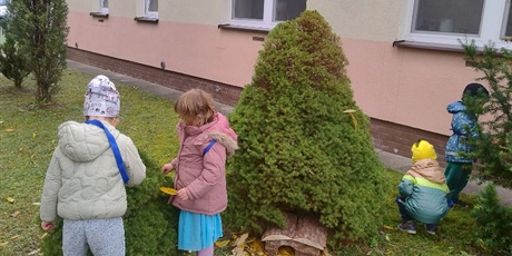 Powiększ grafikę: domek-dla-jeza-w-ramach-programu-zielonej-edukacji-gdansk-647368.jpg