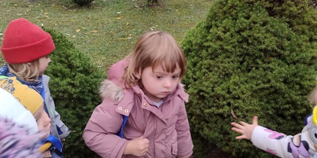 Powiększ grafikę: domek-dla-jeza-w-ramach-programu-zielonej-edukacji-gdansk-647369.jpg