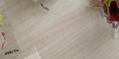 Powiększ grafikę: doskonalenie-sprawnosci-manualnej-718157.jpg