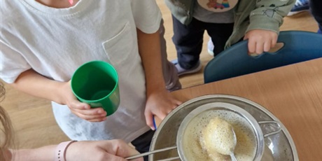 Powiększ grafikę: dzien-jablka-642158.jpg