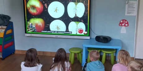 Powiększ grafikę: dzien-jablka-642166.jpg