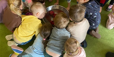 Powiększ grafikę: dzien-jablka-644358.jpg