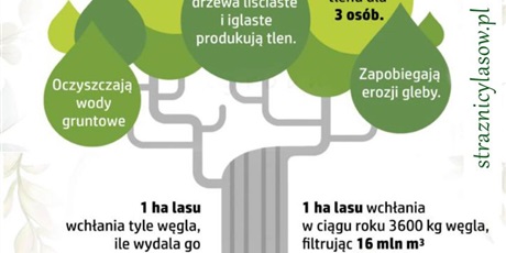 Powiększ grafikę: dzien-straznikow-lasow-29-maj-618696.jpg