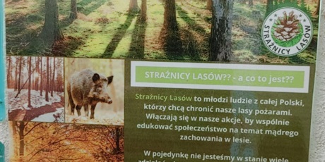 Powiększ grafikę: dzien-straznikow-lasow-619146.jpg
