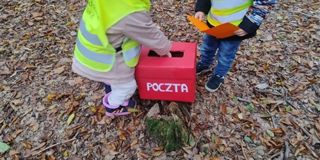 Powiększ grafikę: final-programu-zielonej-edukacji-gdansk-703122.jpg