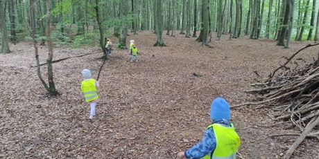 Powiększ grafikę: innowacja-czas-na-las-lesne-zabawy-643126.jpg