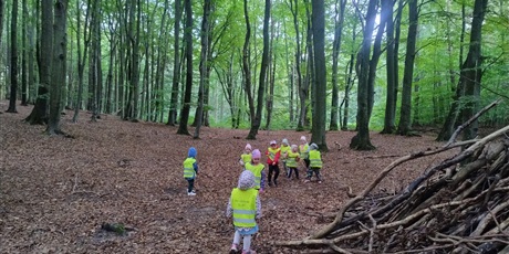 Powiększ grafikę: innowacja-czas-na-las-lesne-zabawy-643128.jpg