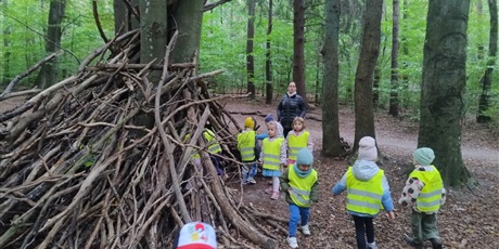 Powiększ grafikę: innowacja-czas-na-las-lesne-zabawy-643129.jpg