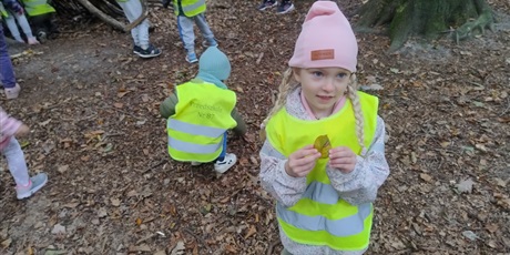 Powiększ grafikę: innowacja-czas-na-las-lesne-zabawy-643135.jpg