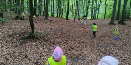 Powiększ grafikę: innowacja-czas-na-las-lesne-zabawy-643137.jpg