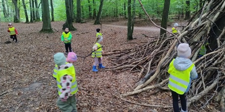 Powiększ grafikę: innowacja-czas-na-las-lesne-zabawy-643138.jpg