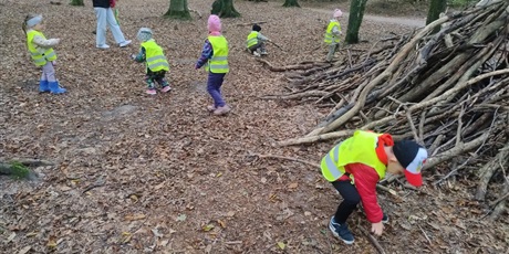 Powiększ grafikę: innowacja-czas-na-las-lesne-zabawy-643140.jpg