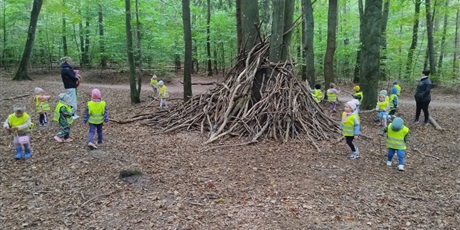 Powiększ grafikę: innowacja-czas-na-las-lesne-zabawy-643141.jpg