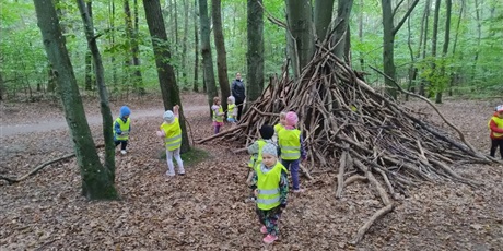 Powiększ grafikę: innowacja-czas-na-las-lesne-zabawy-643144.jpg