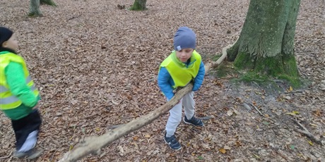 Powiększ grafikę: innowacja-czas-na-las-lesne-zabawy-643145.jpg