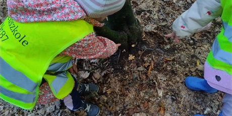 Powiększ grafikę: innowacja-czas-na-las-lesne-zabawy-643151.jpg