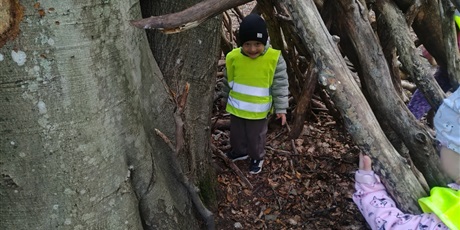 Powiększ grafikę: innowacja-czas-na-las-lesne-zabawy-643152.jpg