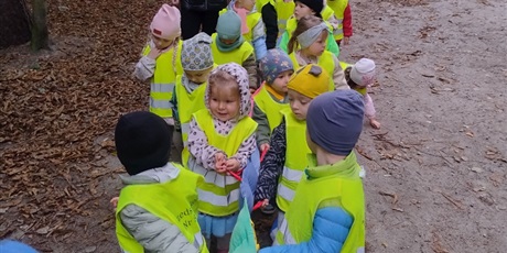 Powiększ grafikę: innowacja-czas-na-las-lesne-zabawy-643261.jpg