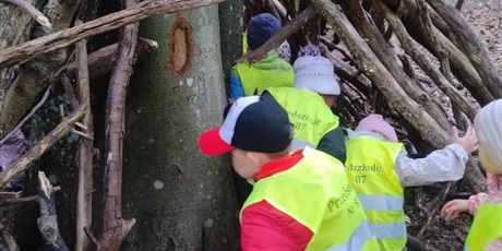 Powiększ grafikę: innowacja-czas-na-las-lesne-zabawy-643263.jpg