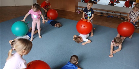 Powiększ grafikę: innowacja-sensologoryka-dla-elfika-625114.jpg