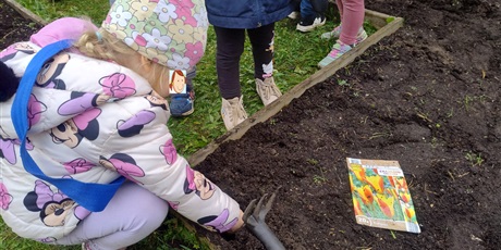 Powiększ grafikę: jesienne-sadzenie-cebulek-program-zielonej-edukacji-gdansk-647346.jpg