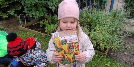Powiększ grafikę: jesienne-sadzenie-cebulek-program-zielonej-edukacji-gdansk-647353.jpg