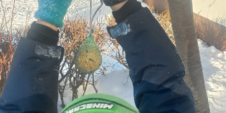 Karmniki dla ptaków - zajęcia w ramach Programu Zielonej Edukacji Gdańsk