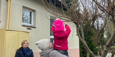 Powiększ grafikę: karmniki-dla-ptakow-zajecia-w-ramach-programu-zielonej-edukacji-gdansk-673092.jpg