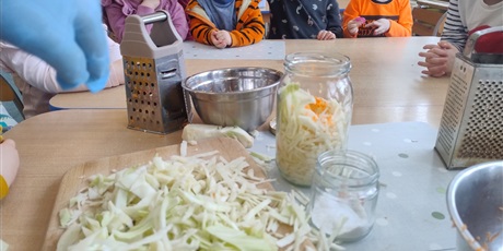 Powiększ grafikę: kisimy-kapuste-w-ramach-programy-zielona-edukacja-gdansk-675487.jpg