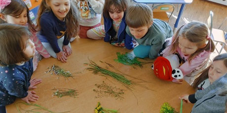 Powiększ grafikę: kreatywnosc-przedszkolna-cz-2-614169.jpg