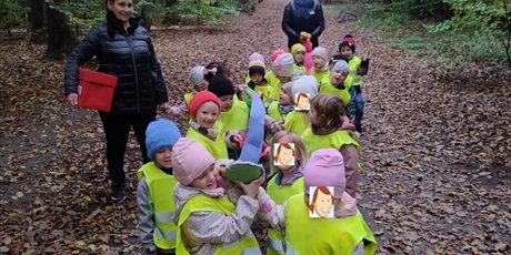 Leśne gry i zabawy - innowacja "Czas na las"