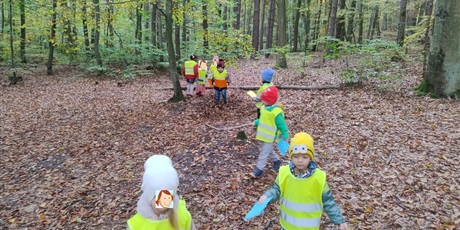 Powiększ grafikę: lesne-gry-i-zabawy-innowacja-czas-na-las-647338.jpg