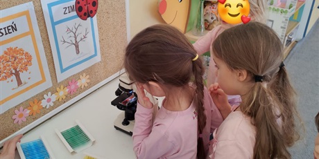 Powiększ grafikę: mali-naukowcy-zajecia-z-mikroskopem-685133.jpg