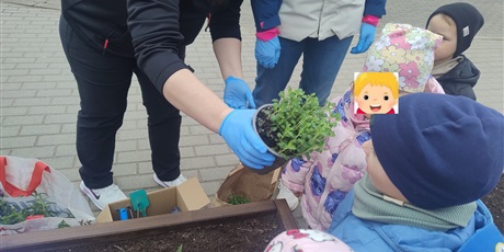 Powiększ grafikę: motyli-ogrod-w-ramach-programu-zielona-edukacja-gdansk-688197.jpg