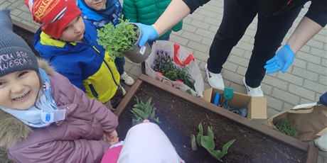 Powiększ grafikę: motyli-ogrod-w-ramach-programu-zielona-edukacja-gdansk-688199.jpg