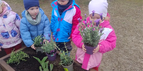 Powiększ grafikę: motyli-ogrod-w-ramach-programu-zielona-edukacja-gdansk-688202.jpg