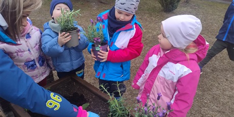 Powiększ grafikę: motyli-ogrod-w-ramach-programu-zielona-edukacja-gdansk-688203.jpg