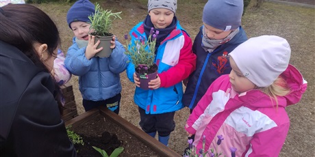 Powiększ grafikę: motyli-ogrod-w-ramach-programu-zielona-edukacja-gdansk-688204.jpg