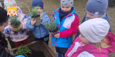 Powiększ grafikę: motyli-ogrod-w-ramach-programu-zielona-edukacja-gdansk-688205.jpg