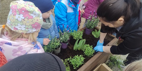 Powiększ grafikę: motyli-ogrod-w-ramach-programu-zielona-edukacja-gdansk-688207.jpg