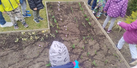 Powiększ grafikę: motyli-ogrod-w-ramach-programu-zielona-edukacja-gdansk-688209.jpg