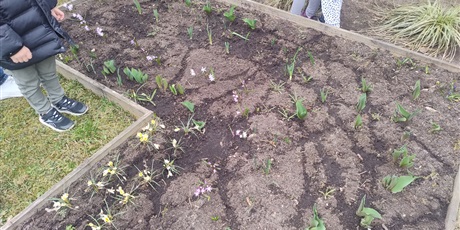 Powiększ grafikę: motyli-ogrod-w-ramach-programu-zielona-edukacja-gdansk-688210.jpg