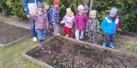 Powiększ grafikę: motyli-ogrod-w-ramach-programu-zielona-edukacja-gdansk-688212.jpg