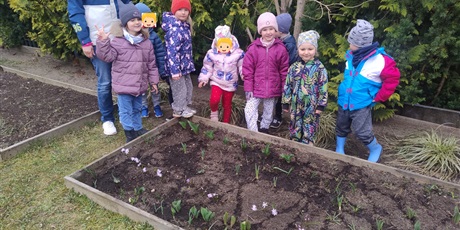 Powiększ grafikę: motyli-ogrod-w-ramach-programu-zielona-edukacja-gdansk-688213.jpg