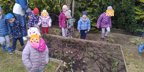 Powiększ grafikę: motyli-ogrod-w-ramach-programu-zielona-edukacja-gdansk-688214.jpg