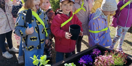 Powiększ grafikę: motyli-ogrod-w-ramach-programu-zielona-edukacja-gdansk-689334.jpg