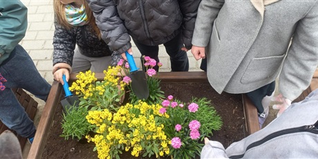 Powiększ grafikę: motyli-ogrod-w-ramach-programu-zielona-edukacja-gdansk-691134.jpg